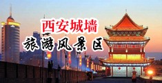 美女大鸡吧日大bb中国陕西-西安城墙旅游风景区